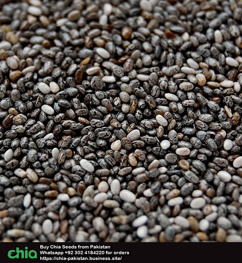 Chia Seeds Pakistan