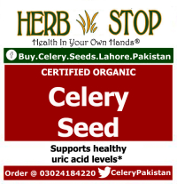celery seeds Pakistan