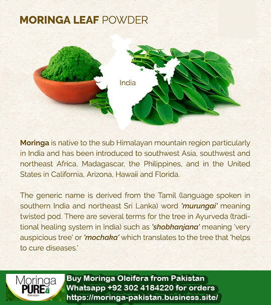 Moringa history