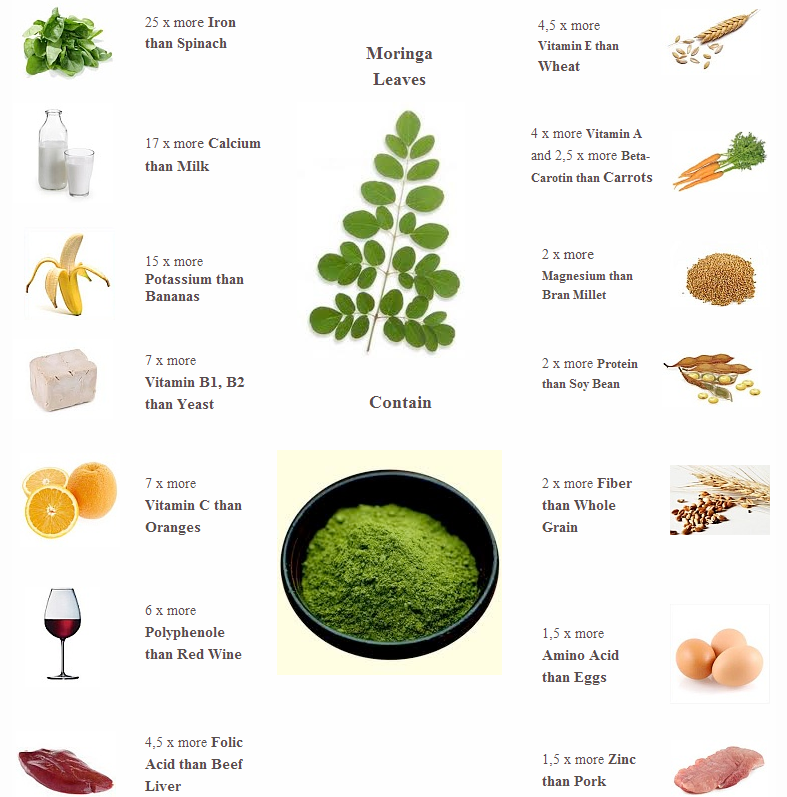 Moringa Nutrition details