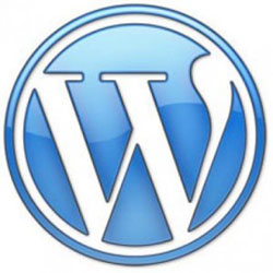 Wordpress Website