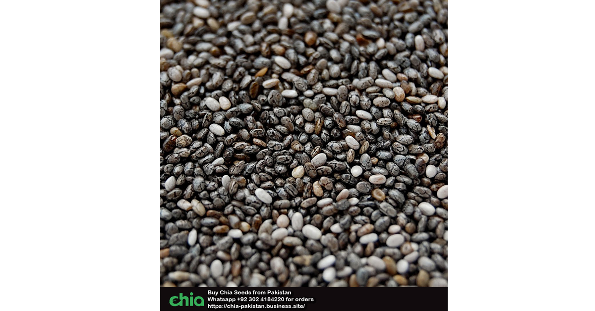 Chia Seeds Buying Guide Pakistan Beware Its not Tukham E Balanga