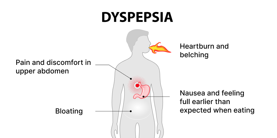 The Dyspepsia Inducing Actions